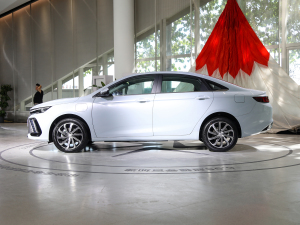 20221.5TD-DHT Pro 100KM Super (c)