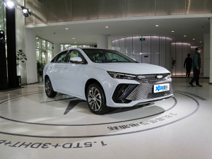 20221.5TD-DHT Pro 100KM Super ǰ45