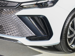 20221.5TD-DHT Pro 100KM Super (x)(ji)^