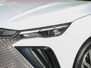 20221.5TD-DHT Pro 100KM Super 