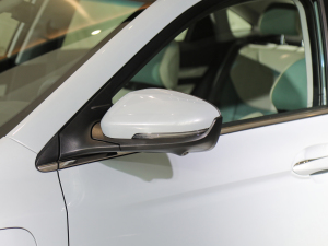 20221.5TD-DHT Pro 100KM Super ҕR