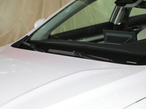 20221.5TD-DHT Pro 100KM Super ˢ