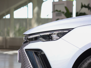 20221.5TD-DHT Pro 100KM Super (x)(ji)^