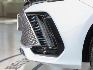 20221.5TD-DHT Pro 100KM Super (x)(ji)^