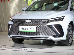 20221.5TD-DHT Pro 100KM Super оW