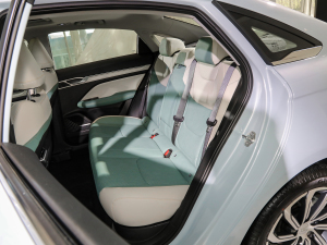 20221.5TD-DHT Pro 100KM Super 