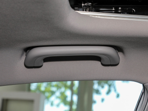 20221.5TD-DHT Pro 100KM Super п؅^