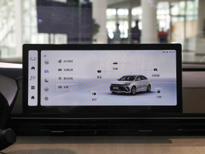 20221.5TD-DHT Pro 100KM Super п؅^