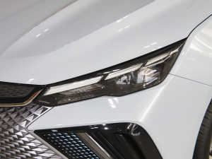 20221.5TD-DHT Pro 100KM SuperѸ 