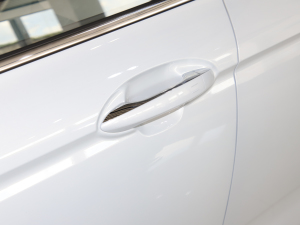 20221.5TD-DHT Pro 100KM SuperѸ {T