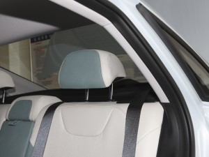 20221.5TD-DHT Pro 100KM SuperѸ g