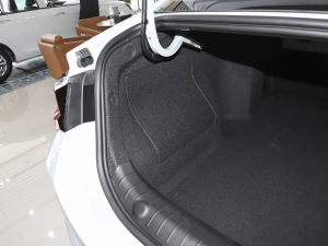 20221.5TD-DHT Pro 100KM SuperѸ g