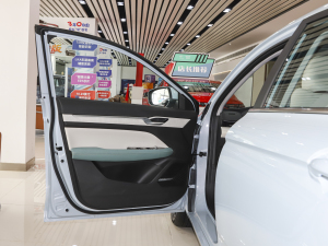 20221.5TD-DHT Pro 100KM SuperѸ {λ܇T