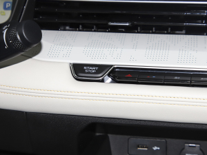 20221.5TD-DHT Pro 100KM SuperѸ п؅^