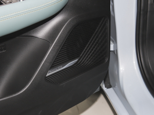 20221.5TD-DHT Pro 100KM SuperѸ п؅^(q)