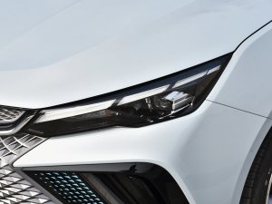 20221.5TD-DHT Pro 100KM Super 