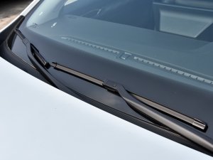 20221.5TD-DHT Pro 100KM Super ˢ