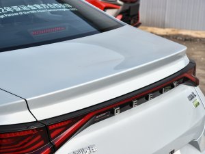 20221.5TD-DHT Pro 100KM Super (x)(ji)^