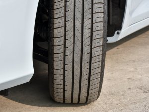 20221.5TD-DHT Pro 100KM Super (x)(ji)^