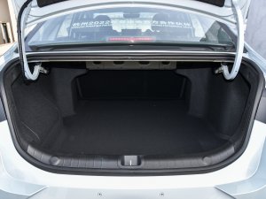 20221.5TD-DHT Pro 100KM Super g