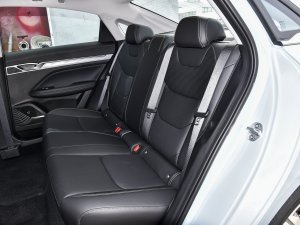 20221.5TD-DHT Pro 100KM Super 