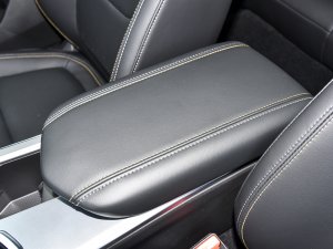 20221.5TD-DHT Pro 100KM Super 