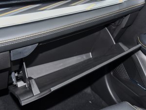 20221.5TD-DHT Pro 100KM Super 