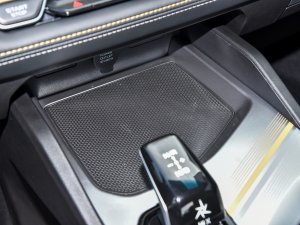 20221.5TD-DHT Pro 100KM Super g