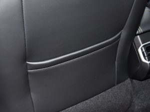 20221.5TD-DHT Pro 100KM Super g