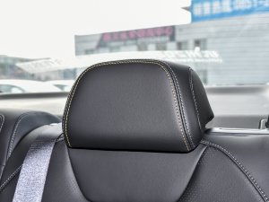 20221.5TD-DHT Pro 100KM Super g