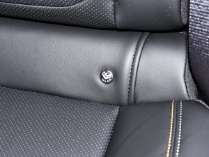 20221.5TD-DHT Pro 100KM Super g