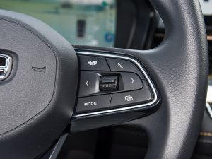 20221.5TD-DHT Pro 100KM Super {