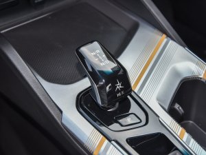 20221.5TD-DHT Pro 100KM Super QU