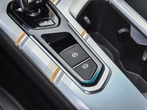 20221.5TD-DHT Pro 100KM Super v܇Ƅ