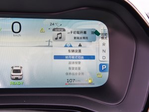 20221.5TD-DHT Pro 100KM Super п؅^