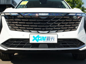 2023款2.0TD DCT尊贵型 中网