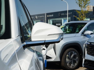 20232.0TD DCTF (x)(ji)^