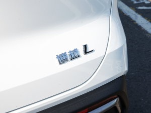 2023款2.0TD DCT尊贵型 细节外观