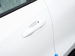 20231.5TD HiF Super Ѹ {T