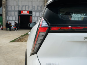 20231.5TD DCTA (x)(ji)^