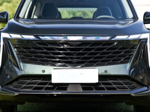 2023款1.5TD DCT荣耀版 中网