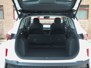 2022COOL 1.5TD DCT Battle g