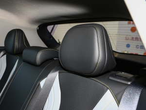 2022COOL 1.5TD DCT g