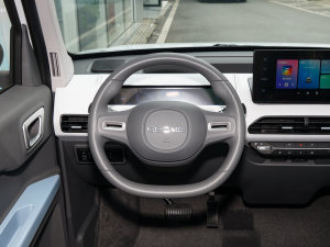 2023款熊猫mini 200km 灵动熊 方向盘