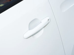 2023款熊猫mini 200km 耐力熊 主驾门拉手