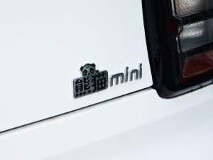 2023款熊猫mini 200km 耐力熊 细节外观