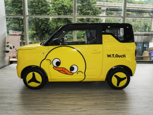 2023؈mini 200km СS޶ _(ki)߹ (c)