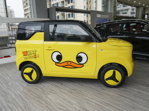 2023؈mini 200km СS޶ _߹ ȣң