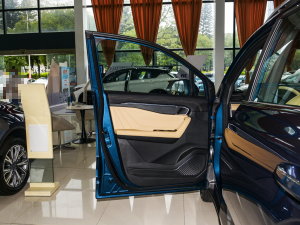 2023款2.0T DCT豪华型 驾驶位车门