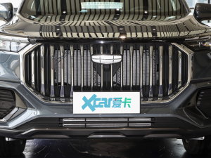 2023款2.0T DCT尊贵型 中网